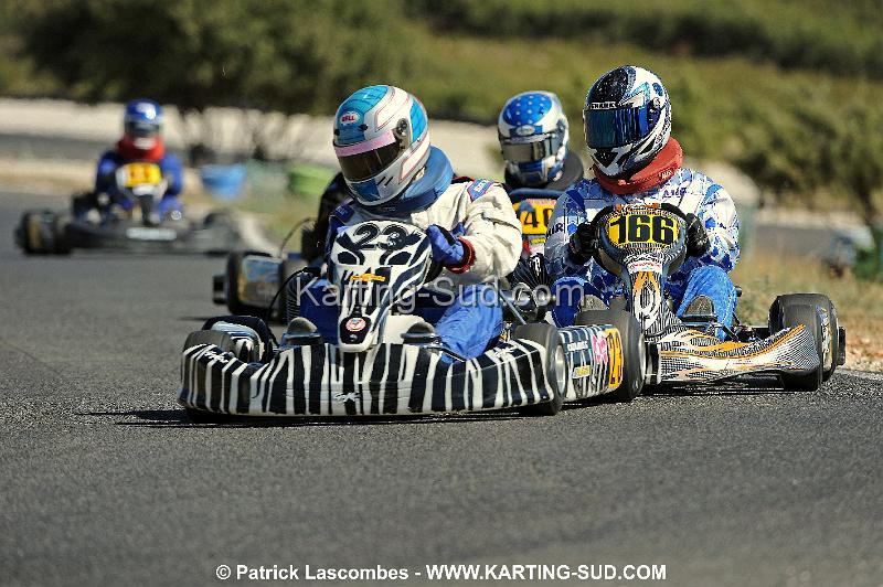 DSC_7008 copie.jpg